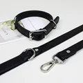 collar and leash 2