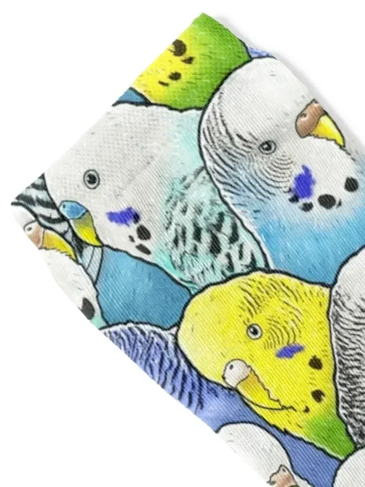 Colourful Budgies Parakeet Pattern Socks set summer Woman Socks Men's