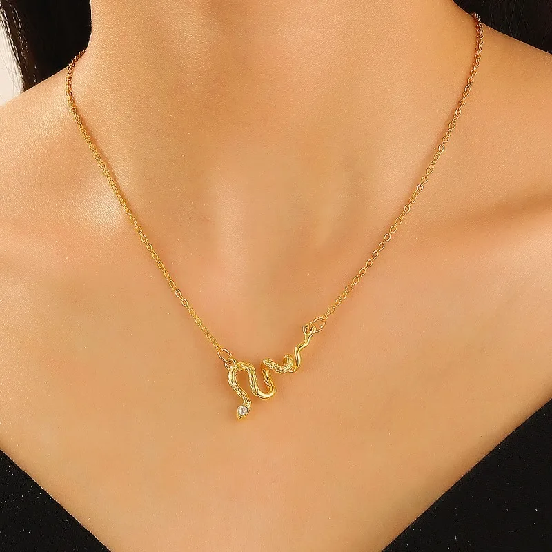 ضوء فاخر المتخصصة فريدة من نوعها ثعبان الترقوة سلسلة الشرير الرجعية زودياك سنة ثعبان قلادة للنساء مجوهرات الفولاذ المقاوم للصدأ 2025 Jp