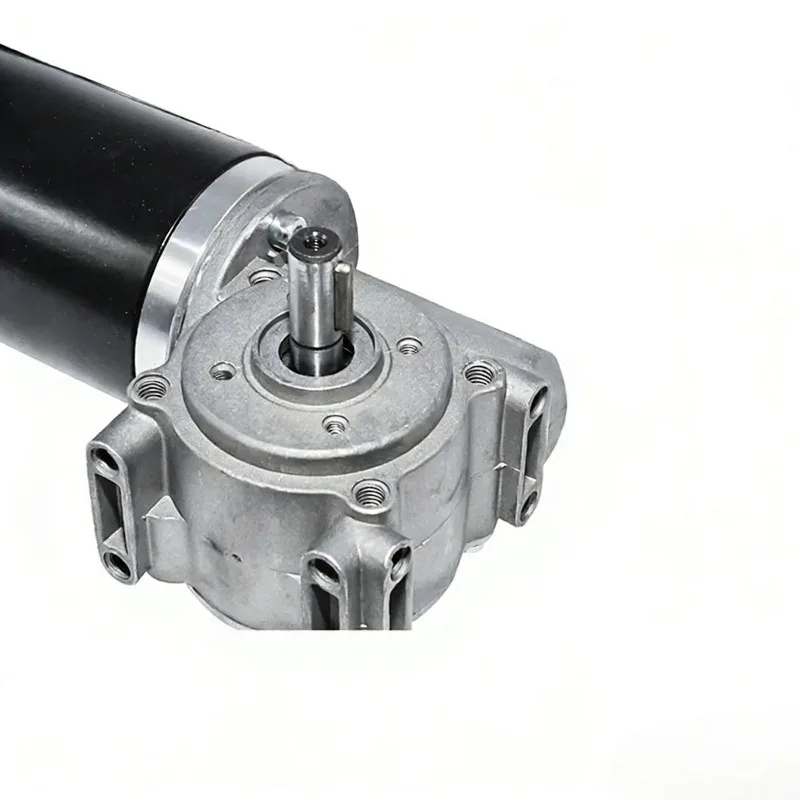 24V DC High Torque Worm Gear Motor 60W/100W Intelligent Encoder Electric Door Motor 220-250RPM