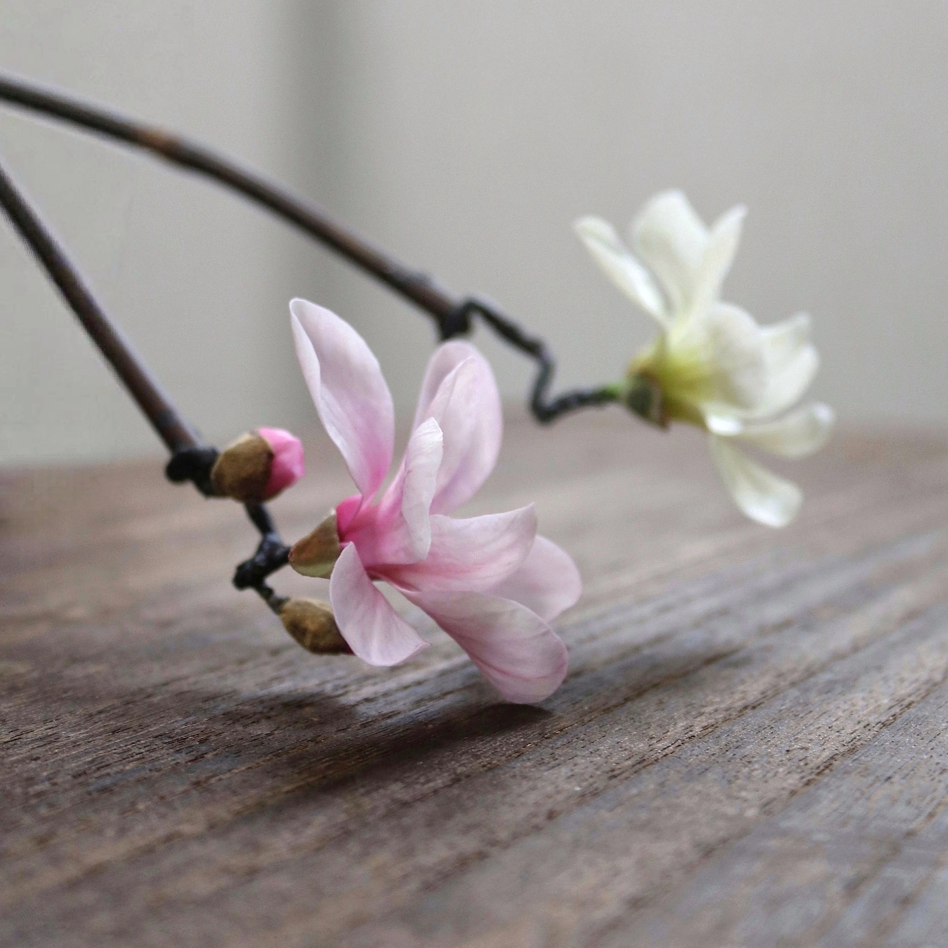 

pavilion shadow, cold porcelain magnolia bamboo branch hairpin