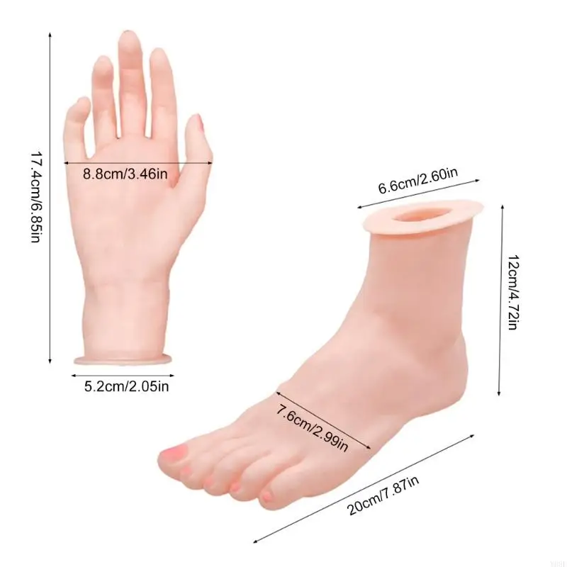 Versatile Silicone Hand and Foot Models Adjustable Silicone Hand Foot Models for Beauty Artists Accessory Display Y08E