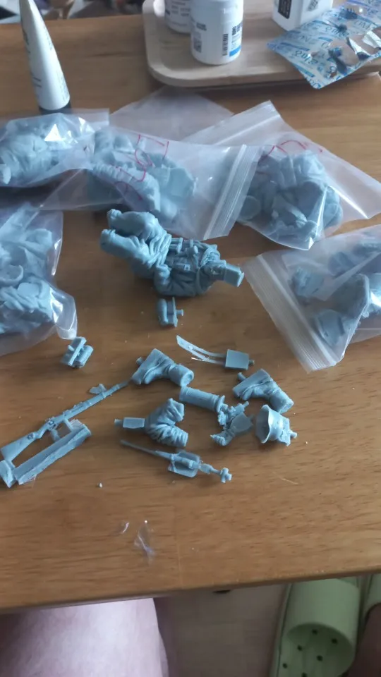 Buyer photo of this resin kit