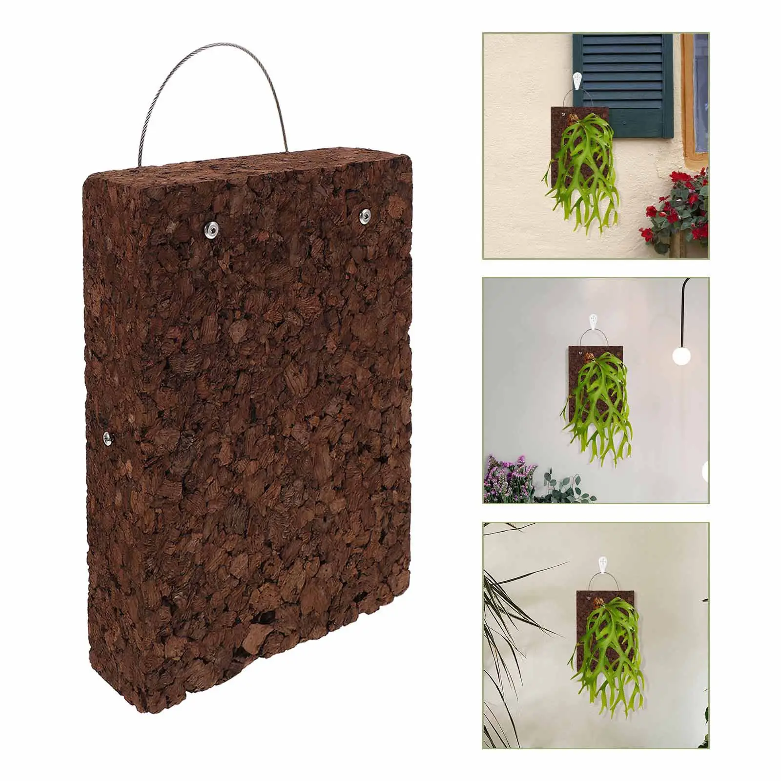 Carbonized Cork Fern Mounting Board 17x25x5cm Solid Wood Wall Plant Holder for Ferns Orchids Succulents Climbing Plants Rustic