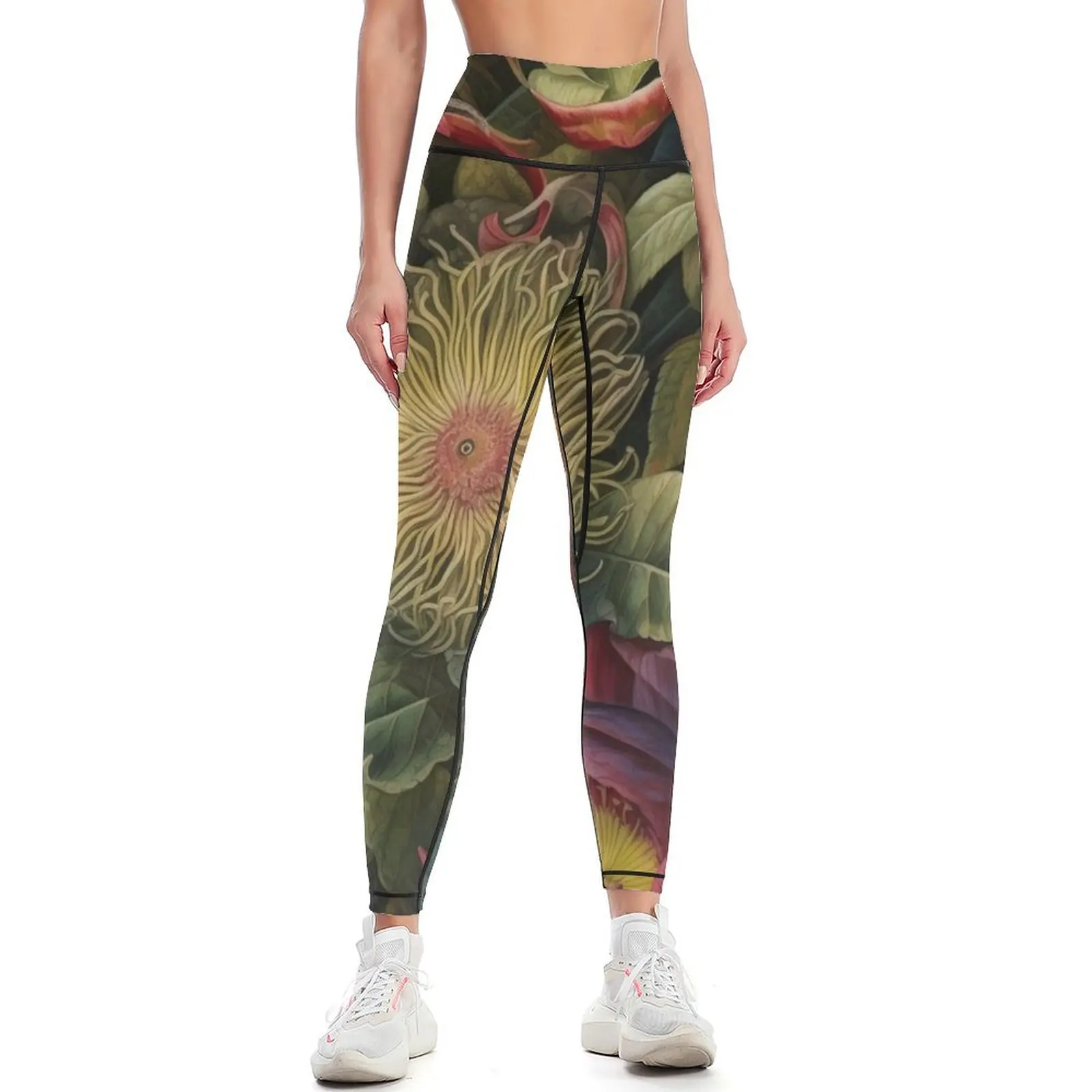 A.I. Gardens :: Sampling Masters :: Ernst Haeckel + John James Audubon Leggings Jogger pants Womens Leggings