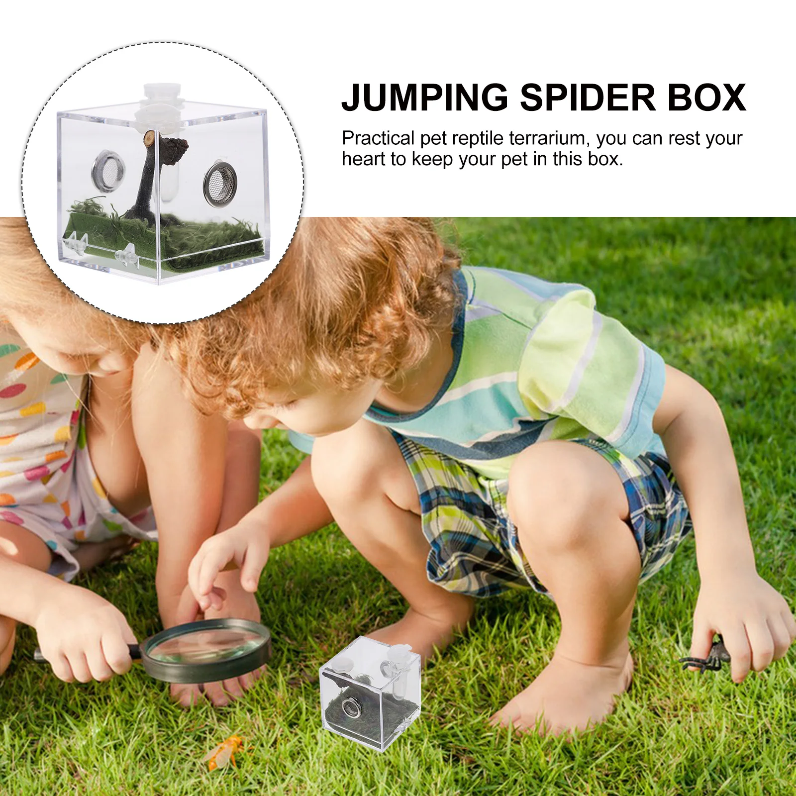 

Spider Breeding Box Transparent Acrylic Container Durable Reptile Terrarium Jumping Spider Enclosure Feeding Case Small Animals