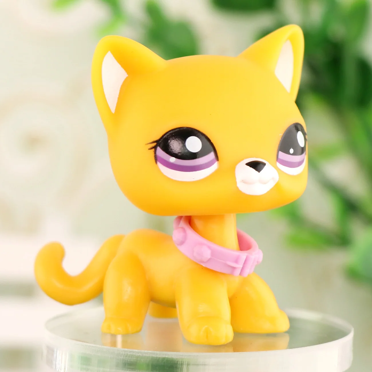 애완동물 오렌지 쇼트헤어 고양이 보라색 눈 귀여운 어린이 선물 희귀