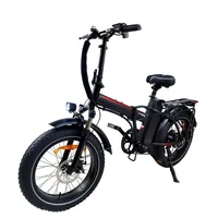 baolujie DZ2031 Adult Electric Bike 5 Off-Road Motor Electric Bike 48V13AH Battery 20 Inch Tire All Terrain Electric Bike