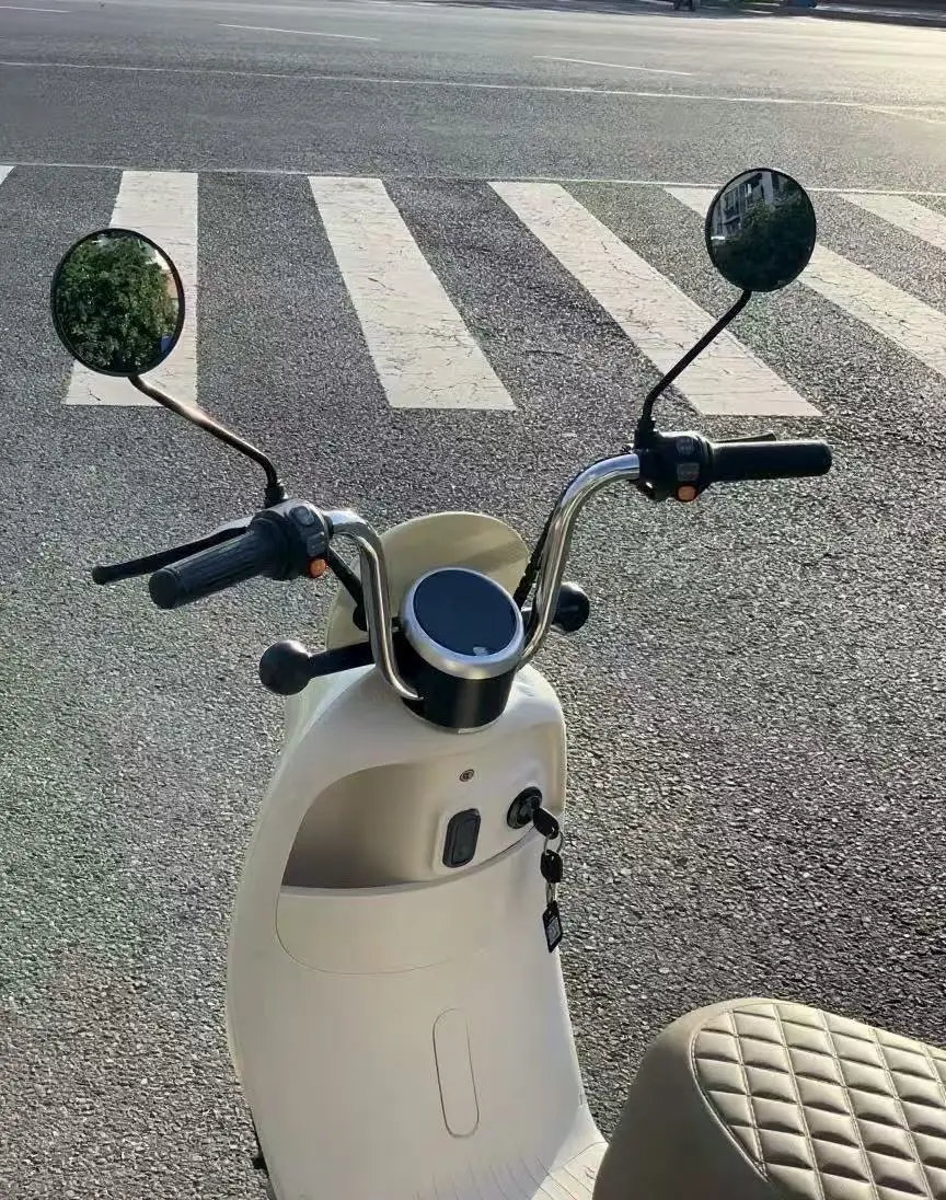 Adult Women's Electric Motorcycle 60V 40-60km/h Small Commuting