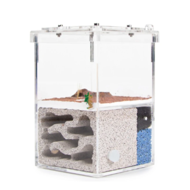 Observation Ants Formicarium Box Acrylic Design Ant Accessories