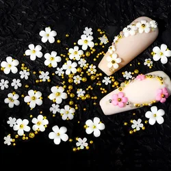 1Bag Acrylic Flower 3D Nail Art Decoration Mixed Size Steel Beads Silver Gem Nail Manicure Tool Accessories For DIY Nail Design