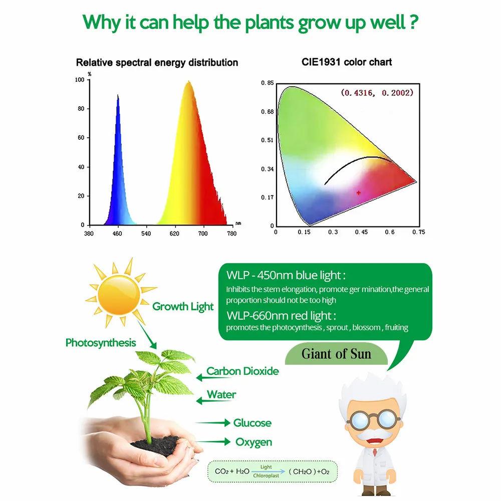 

5M Plant Growth Light Full Spectrum Flower Plant Phyto Growth Lamp DC 5V 2835 SMD for Plants Hydroponics Growing System