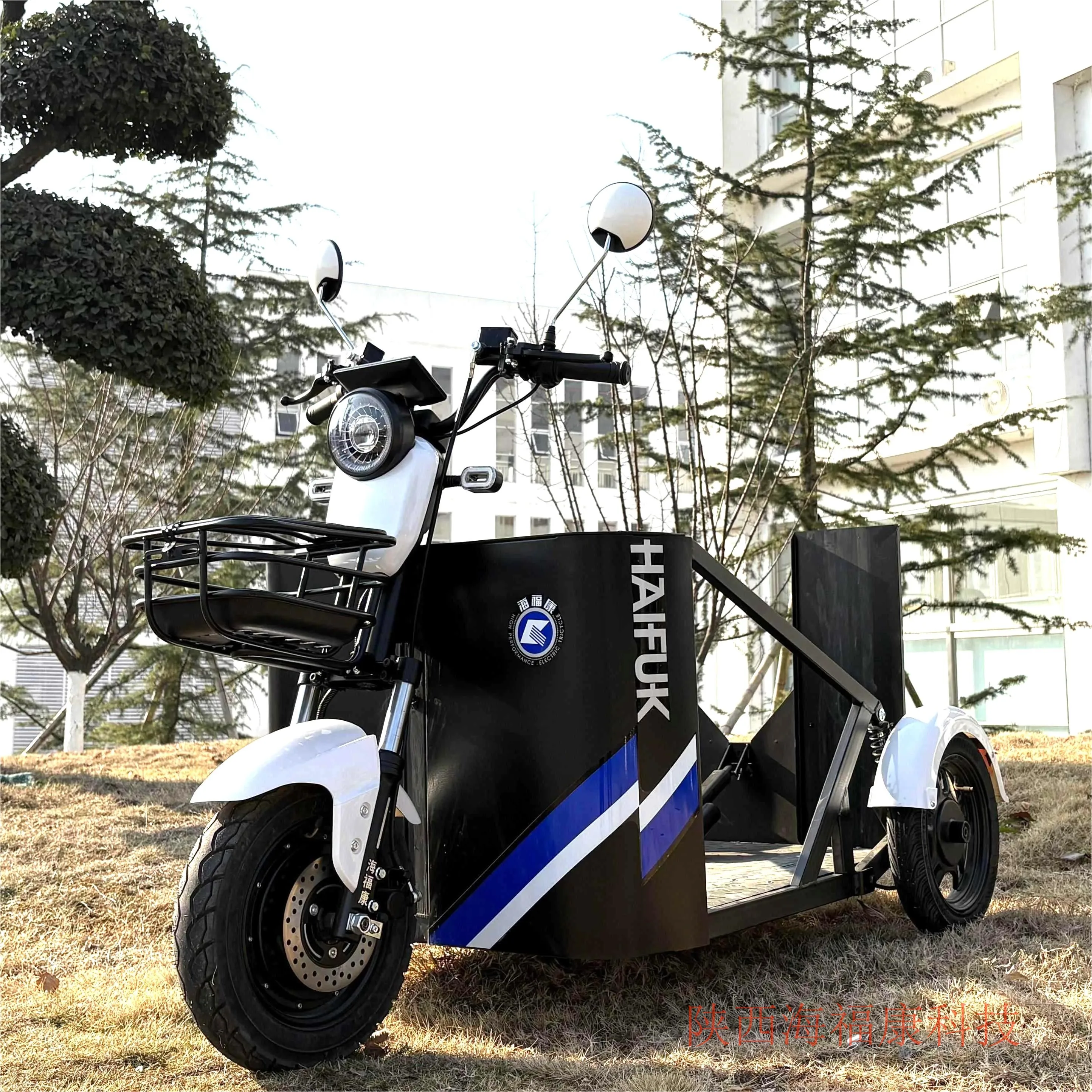 Remote customized Haifukang wheelchair mother and child car wheelchair scooter disabled tricycle disabled special car