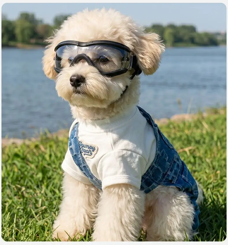 

Dog Goggles UV Protection Waterproof Windproof Pet Sunglasses for Small Medium Dogs Adjustable Eye Wear Outdoor Riding Hiking