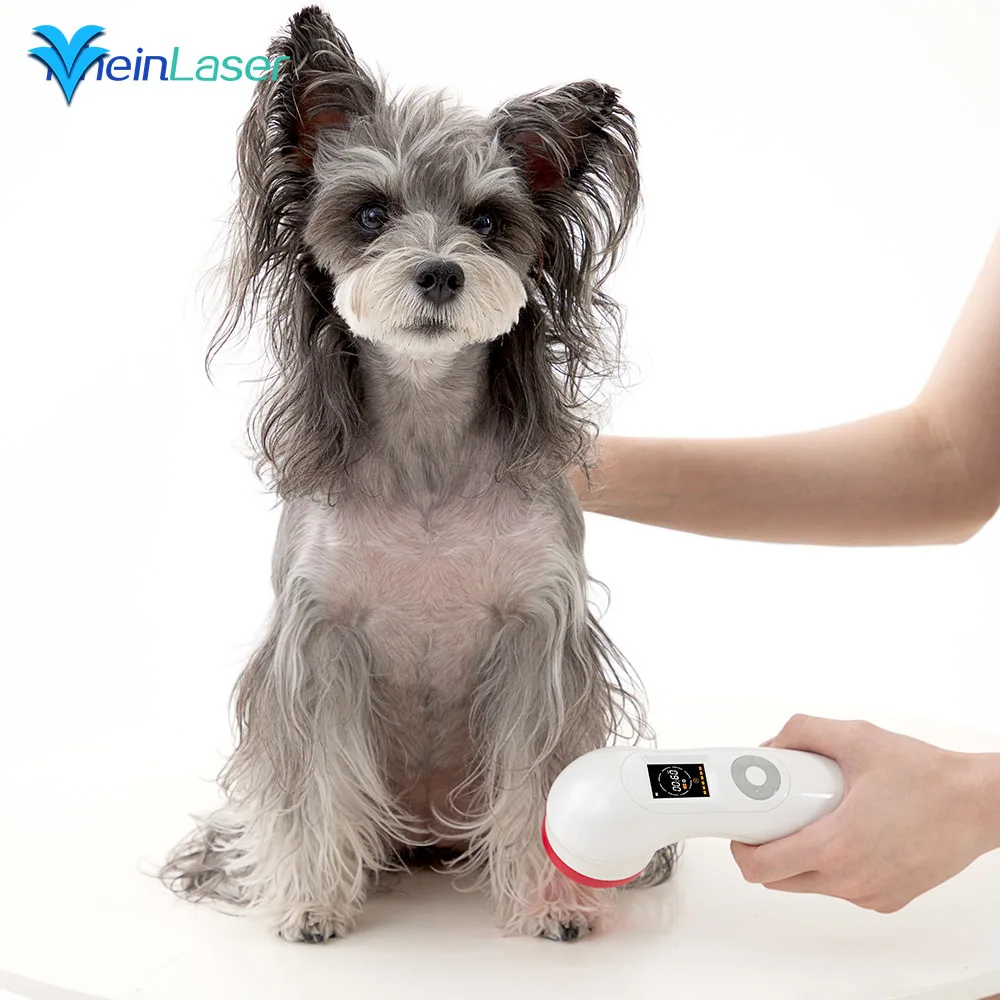 

Lllt 650nm 808nm Cold Laser Therapy Device Handheld for Pet Dog Cat Horse Pain Relief