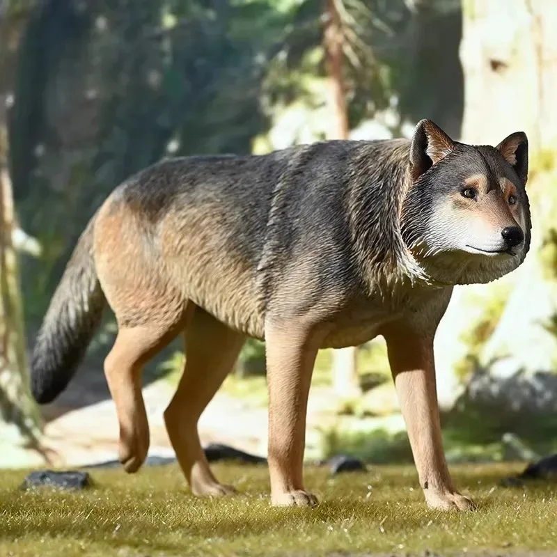 JXK 1/6 Maßstab Simuliertes Tier-Harzmodell Fierce Grassland Wolf für 12-Zoll-Actionfiguren Körper-Szenen-Zubehör auf Lager