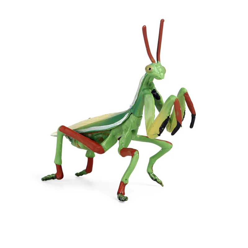 

1 Pcs Simulation Animal Insect Model Solid Plastic PVC Toys Children's Gifts Praying Mantis Model Action Figure Classic Toys