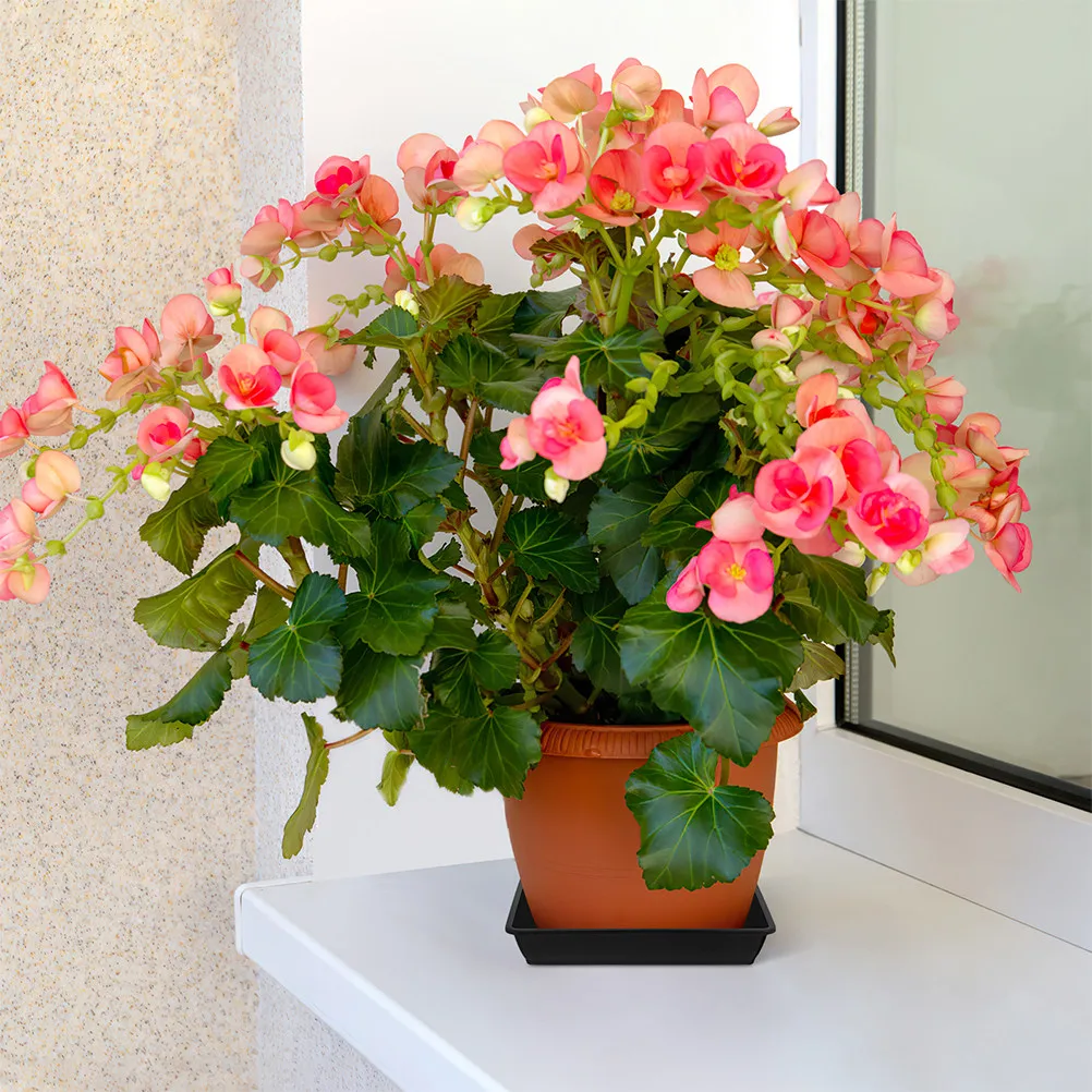 10Pcs Plastic Flower Pot Tray Plant Saucer Rectangle Pot Drainage Tray Indoor Outdoor Use Plant Trays for Indoors