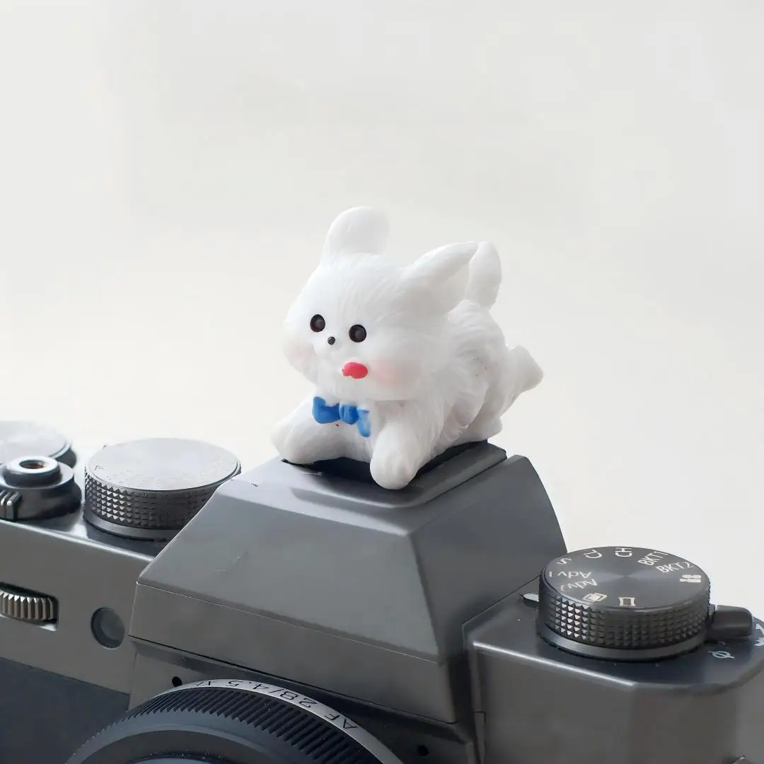 DIY Cute Dog Ornament Camera Hot Shoe Cover Protective Cap for Canon Nikon Sony Fuji XT5 XT50 XM5 Leica Mirrorless Accessories view 5