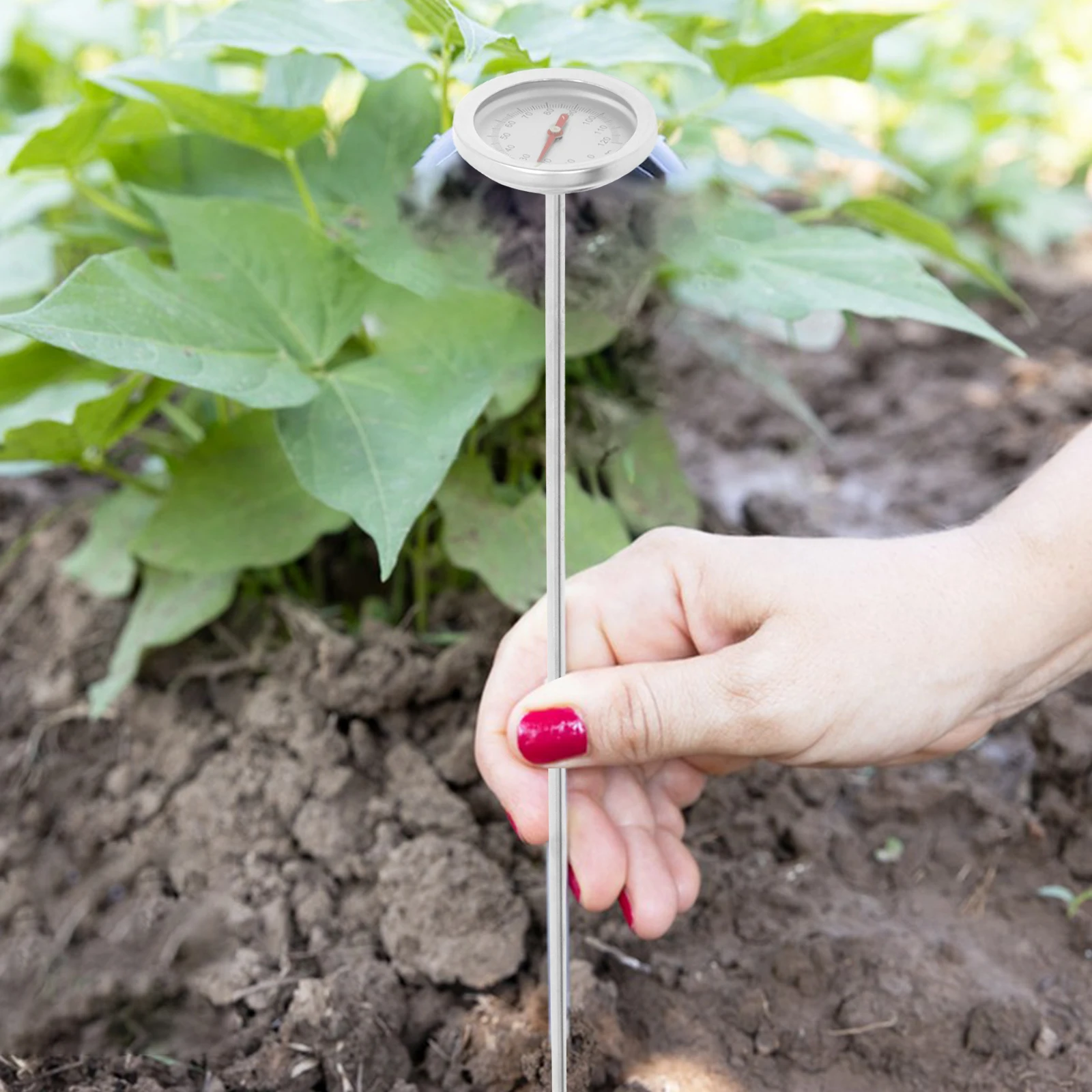 

Stainless Steel Soil Thermometer Compost Temperature Gauge Gardening Tool Portable Measure Backyard Lawn Greenhouse Test Probe