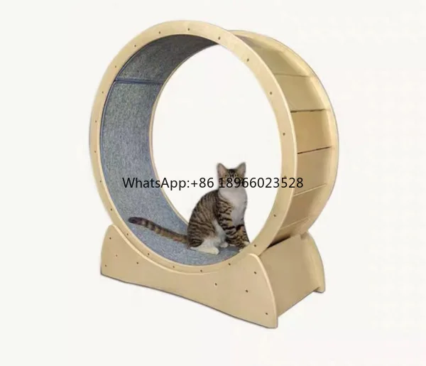 Cattery equipment Pet Exercise Wheel Cat Running Exercise Wheel Pet toys For Cat