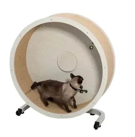 

Hot Selling Pet Toys Cat Wheel Running Wheel Cat Pet Exercise Wheel for Pet Play House