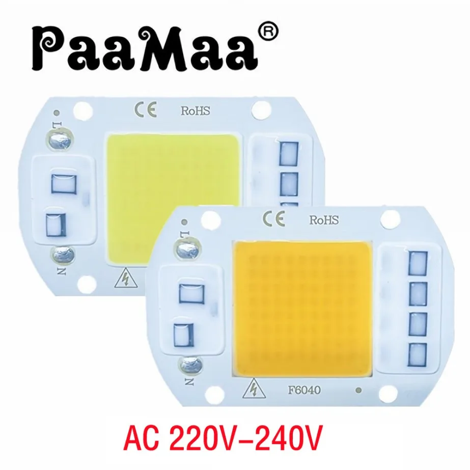 10W 20W 30W 50W LED COB Lamp Bead AC 220V 240V IP65 Smart IC No Need Driver DIY Flood light Led Bulb Spotlight Outdoor Chip Lamp