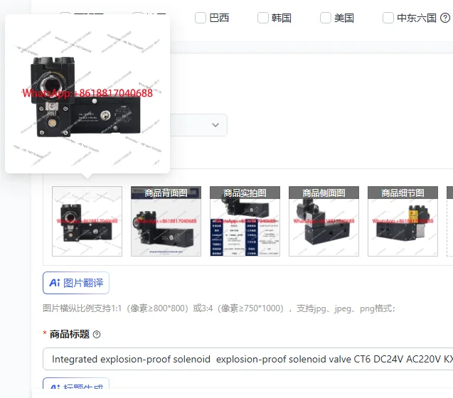 Integrated explosion-proof solenoid  explosion-proof solenoid valve CT6 DC24V AC220V KXD-2000X