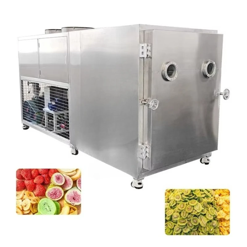 Competitive Price 1 Ton Freeze Dry Machine Beef Chicken Micro Greens Freeze Dryer Dalle for Banana CUSTOMIZED