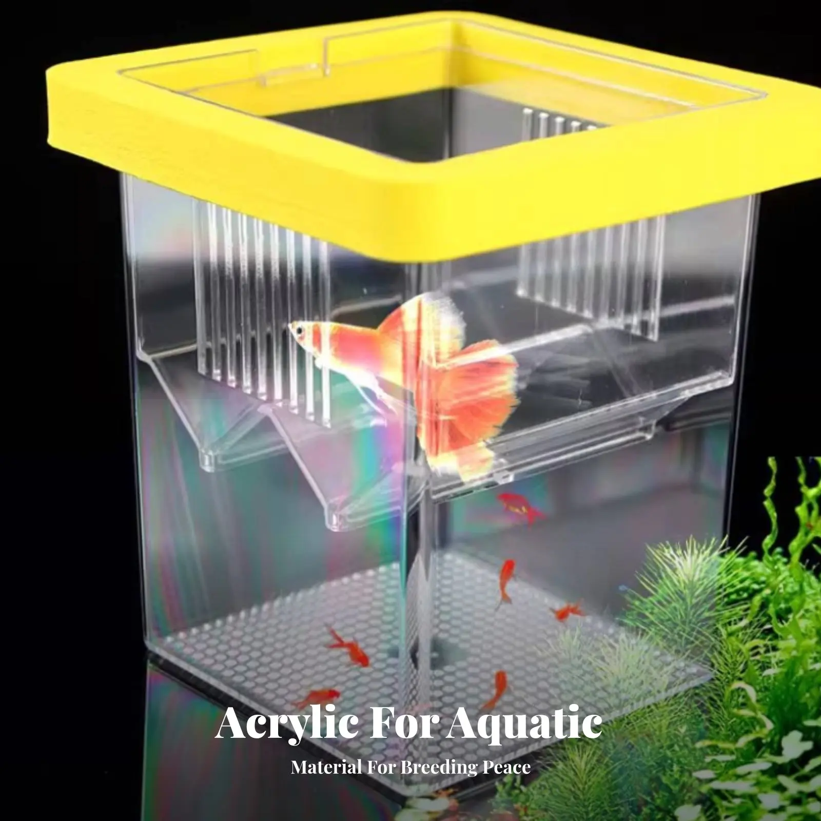 

Buoyant Aquatic Breeding Box High Clearness Acrylic Aquatic Hatchery Aquatic Habitat Breeder Box Multifunctional Easy to Clean