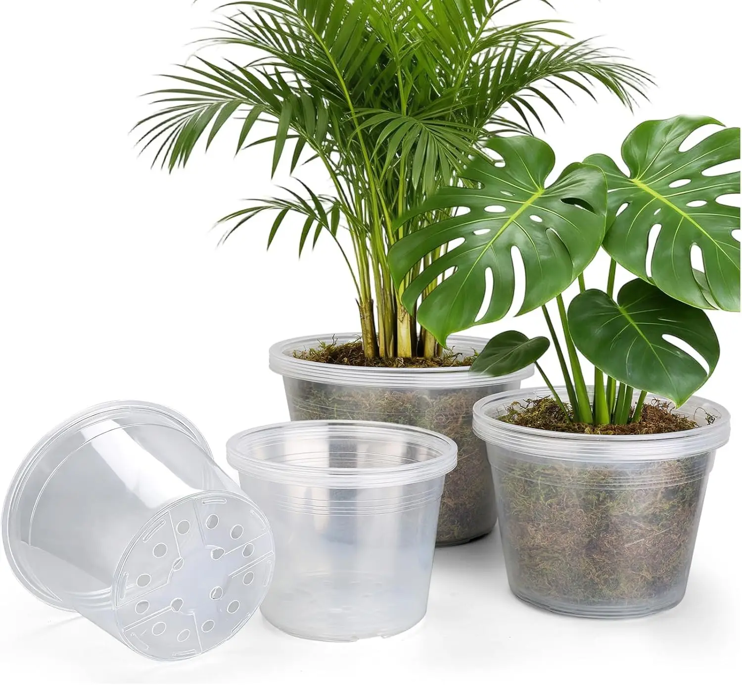 

15 Pack 8/10/12 Inch Large Clear Nursery Pots with Drainage Hole, Plastic Plant Pots for Seedling Flower Vegetable, Indo