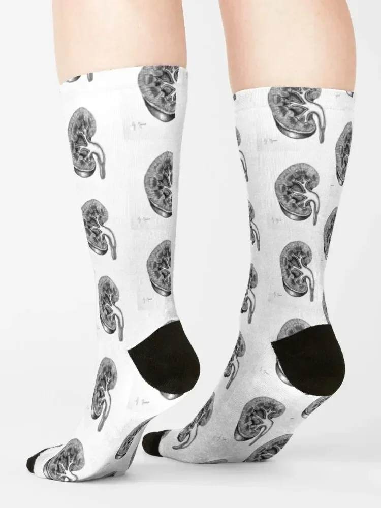 Vintage Kidney Drawing Socks Run cute Man Socks Women's