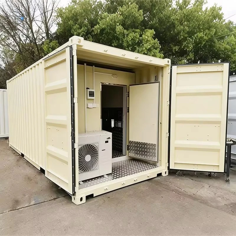 20FT Solar Cold Room Container with Backup Power for Farm Customized