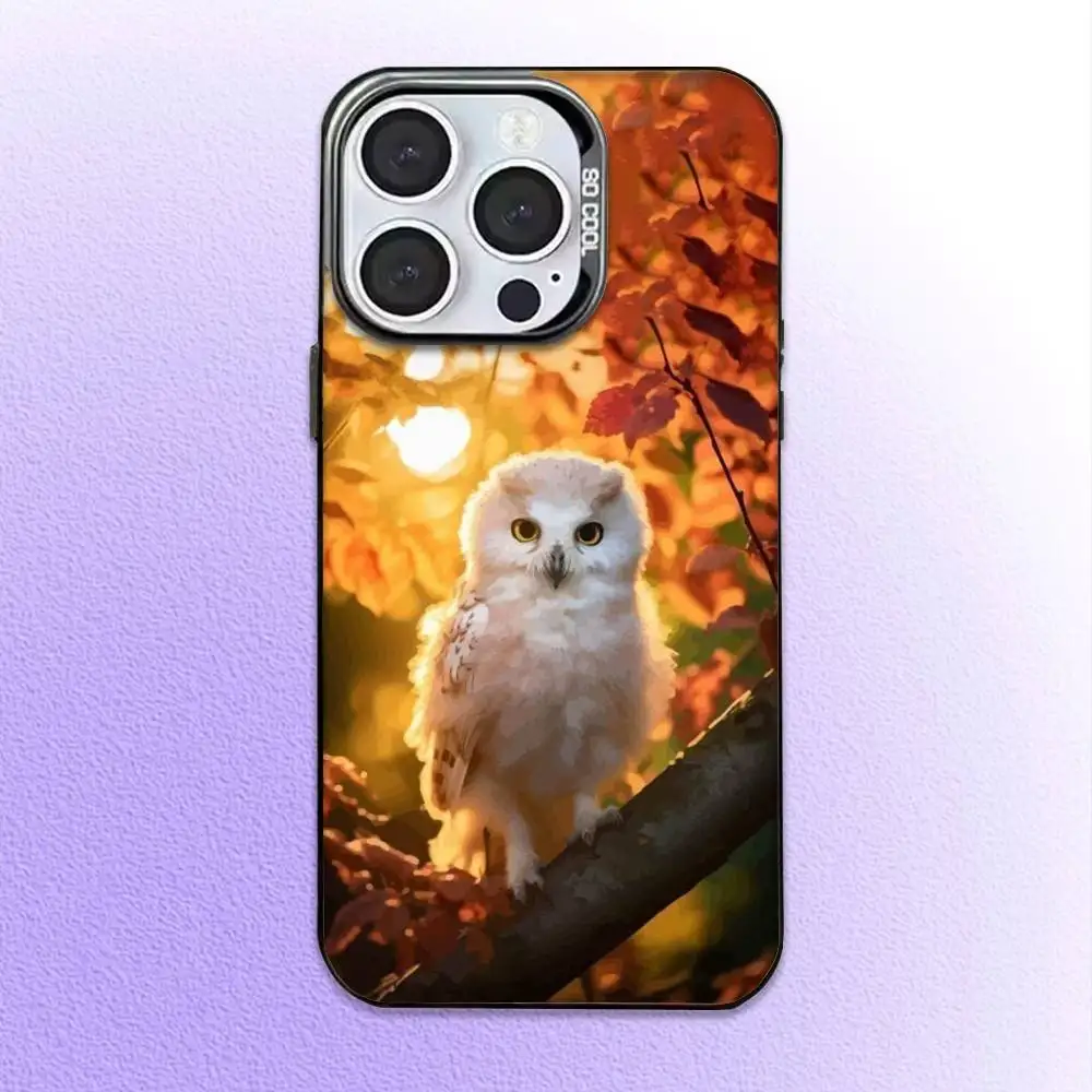 Pet Cute Owl Phone  Phone Case  For iPhone17,16,15,14,13,12,11 Plus,Pro Max Black Candy Matte Shockproof Cover