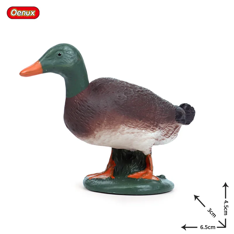 Children Cognitive Solid Simulation Static Wild Animal Duck Model Toy Poultry Duck Wild Duck Decoration