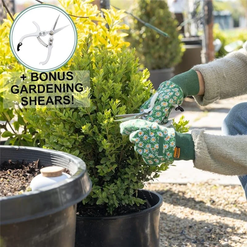 

P4-Plant Watering Ball, Terracotta Watering Spike - Slow Release Watering Can,16 Ounces - Self Watering Spike,4Pcs