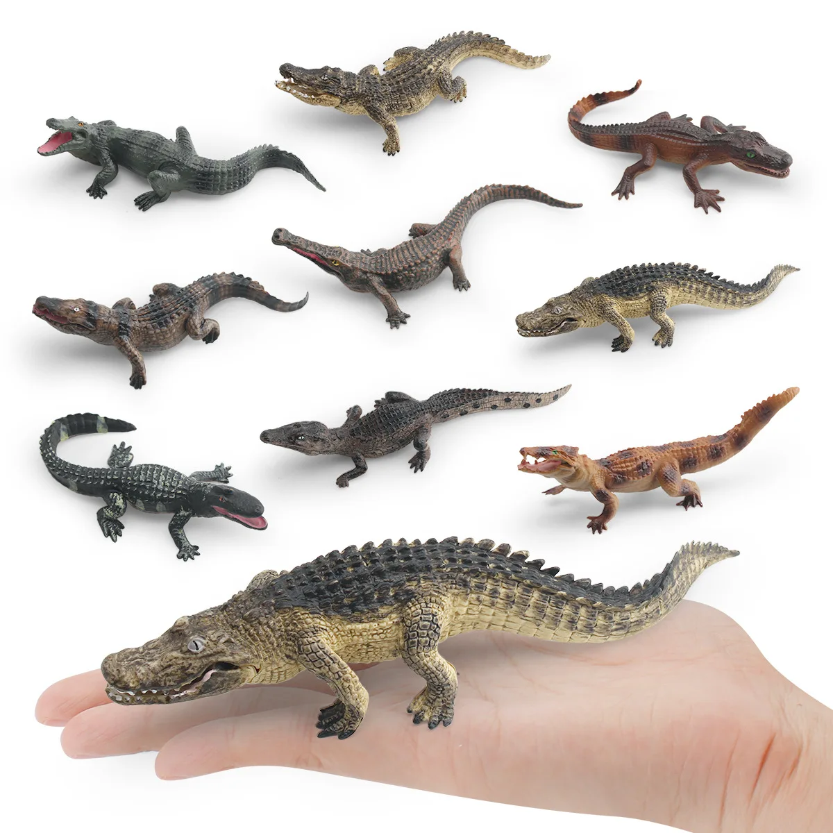 Mini cocodrilo jabalí Caiman Nilo cocodrilo cocodrilo vida silvestre Animal modelo escala miniaturas decoraciones simuladas decoración del hogar