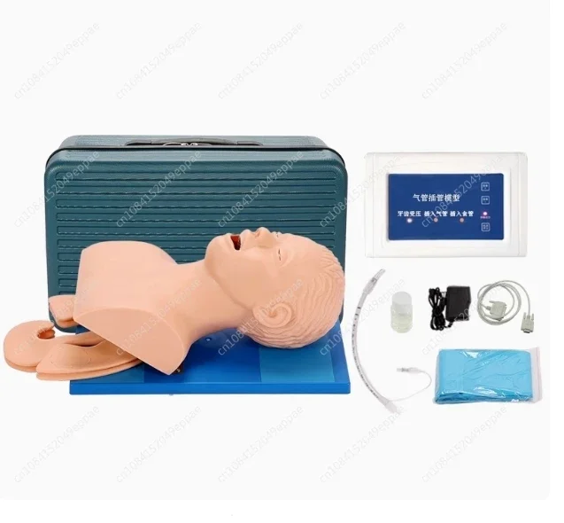 Intubation Model For Adult, Electronic Human Nasopharyngeal Airway, Emergency Medical Nursing Training, Mannequin