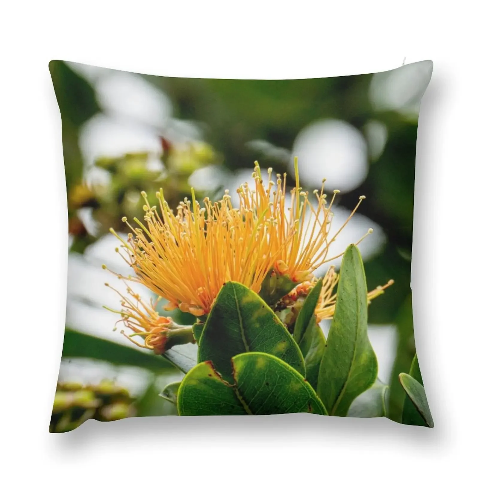 Orange Lehua Blossom Throw Pillow Cushion Cover Set Pillowcases For Pillows pillow