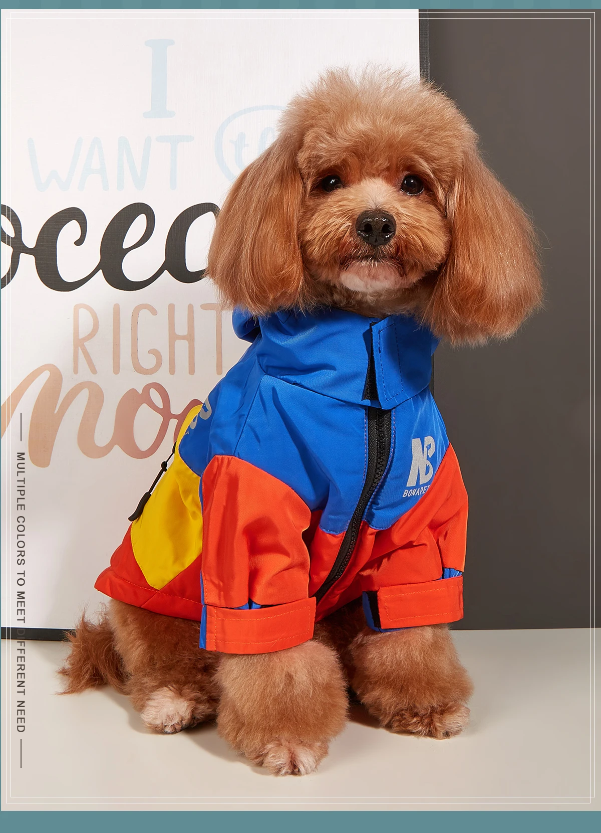 Wasserdichte Kleidung für große Hunde, Winter, warm, Haustier-Regenmantel für mittelgroße und große Hunde, modische coole Hundejacke, französische Bulldogge, Chihuahua-Outfit – Detail 14
