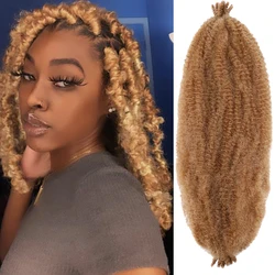 Nido de pelo sintético de ganchillo para mujer, pelo Afro de primavera preseparado, rizado, trenzado