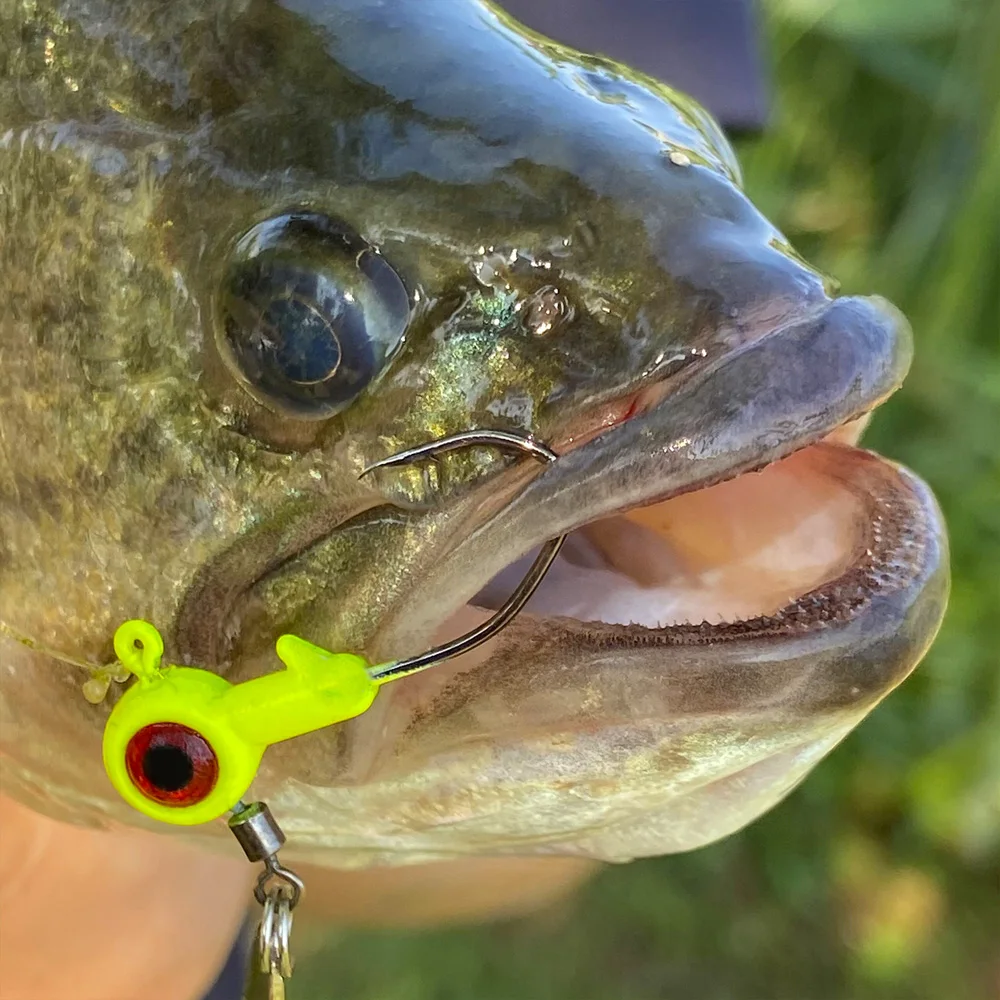 

5pcs Jig Head Hooks Spinner Set 1.4g-1.6g-3g Exposed Jigging Hooks with 3D Eyes Barbed Soft Lure Fishing Tackle for Anglers