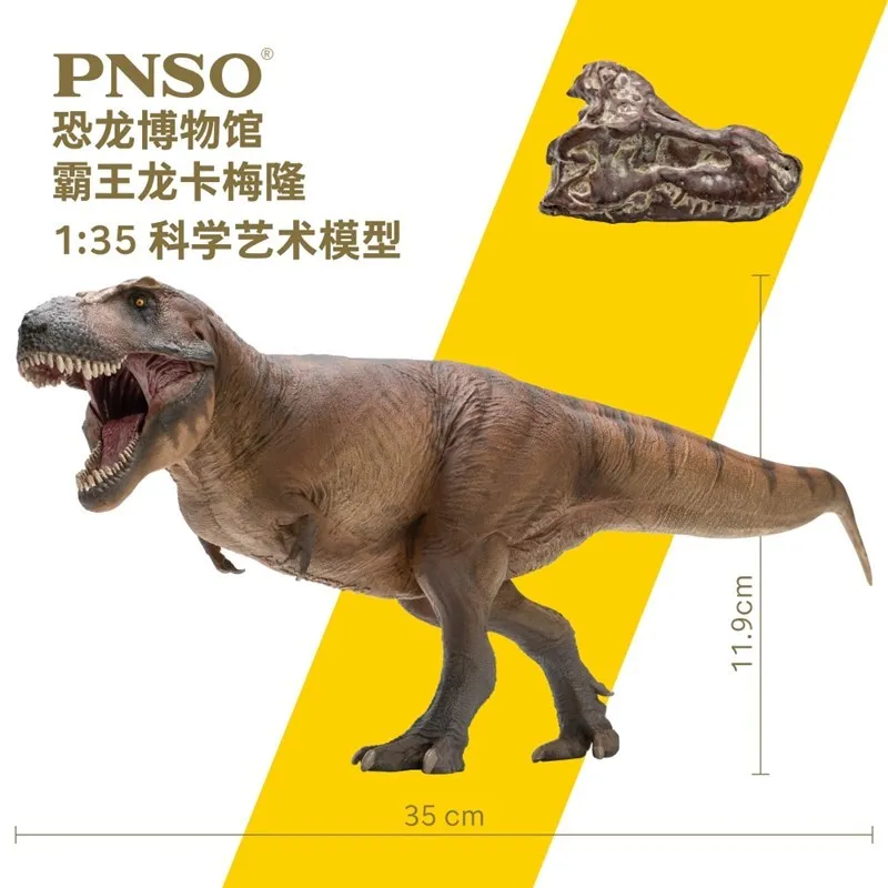 

Cameron PNSO Jurassic Tyrannosaurus Dinosaur Museum Model 1:35 Science Art With Skull Attachment Durable Collectible Toy Figure