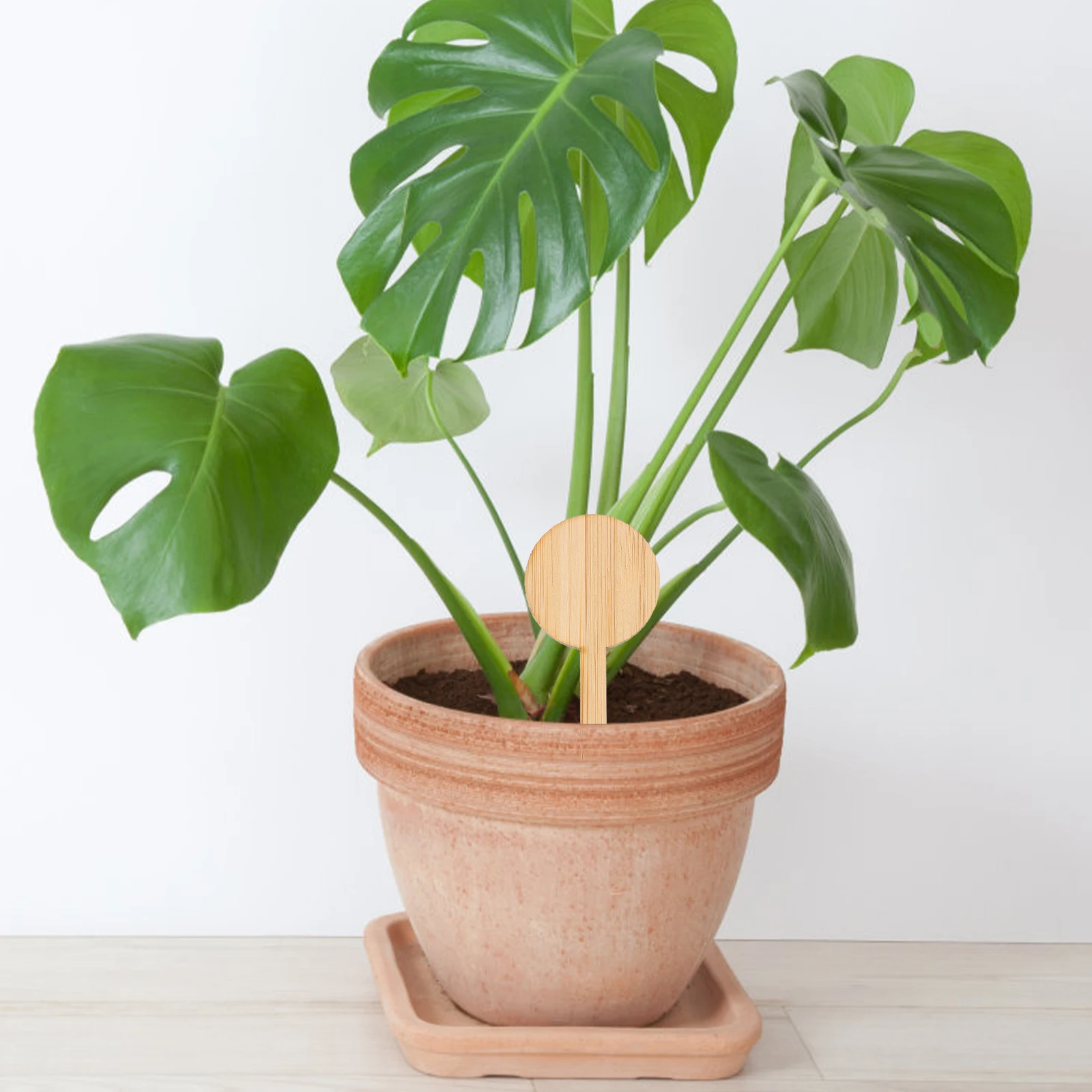 

20Pcs Garden Label Bamboo T Shape Wood Color Seedling Marker Miniature Plant Label Plaque Ornament for Nursery