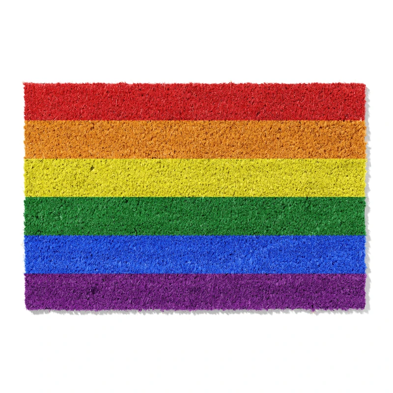 Aertemisi 6 Stripes Rainbow Flag Gay LGBT Coir Door Mat Non Slip Heavy Duty Backing