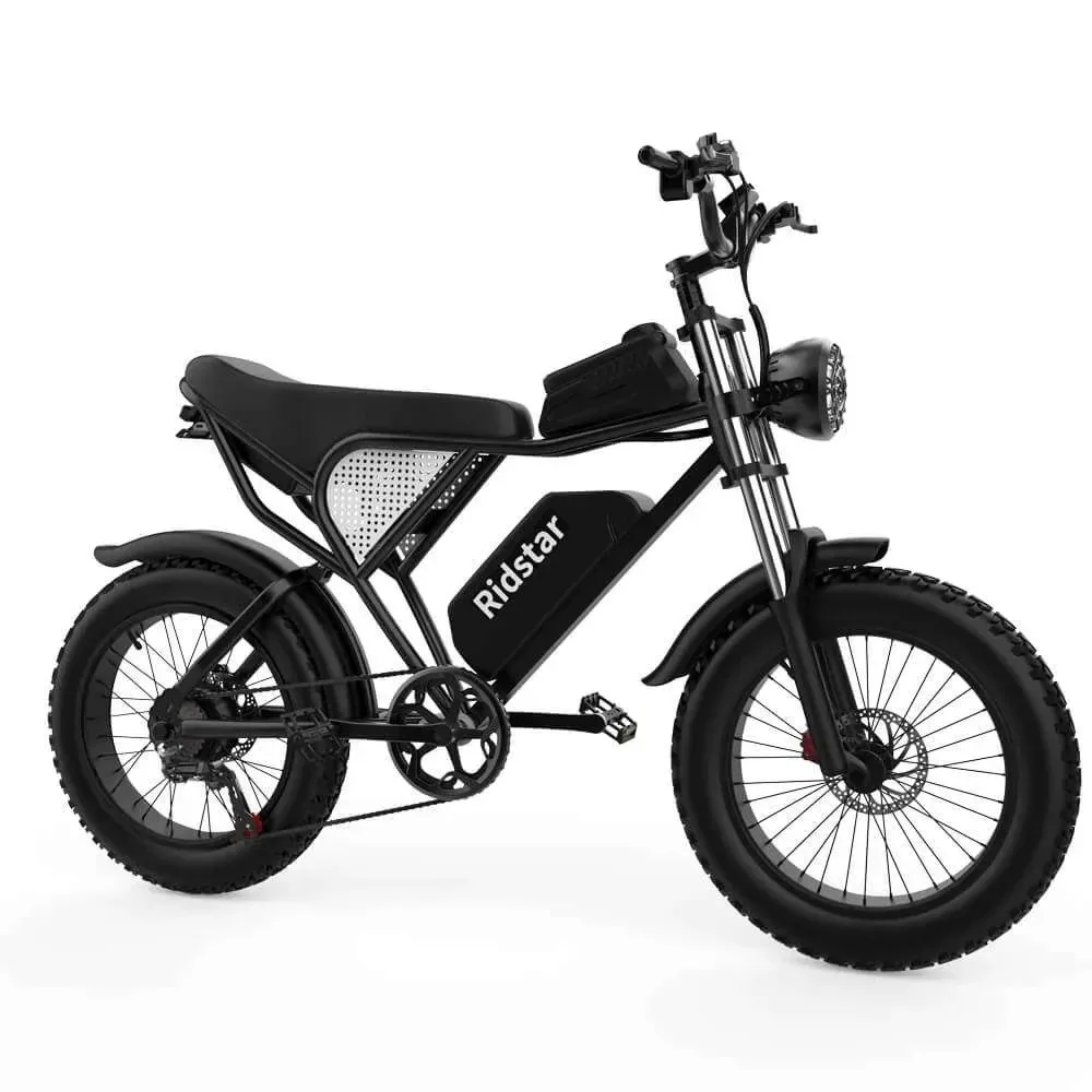 

RIDSTAR Q20 20" Fat Tires Electric Bikes 1000W Motor 48V 20Ah Battery