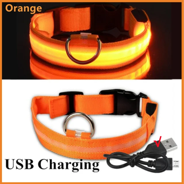 Collare per cani incandescente a LED Ricarica lampeggiante regolabile Collare luminoso notturno Imbracatura per cani anti-smarrimentoPer prodotti per animali domestici per cani di piccola taglia_voghion.com