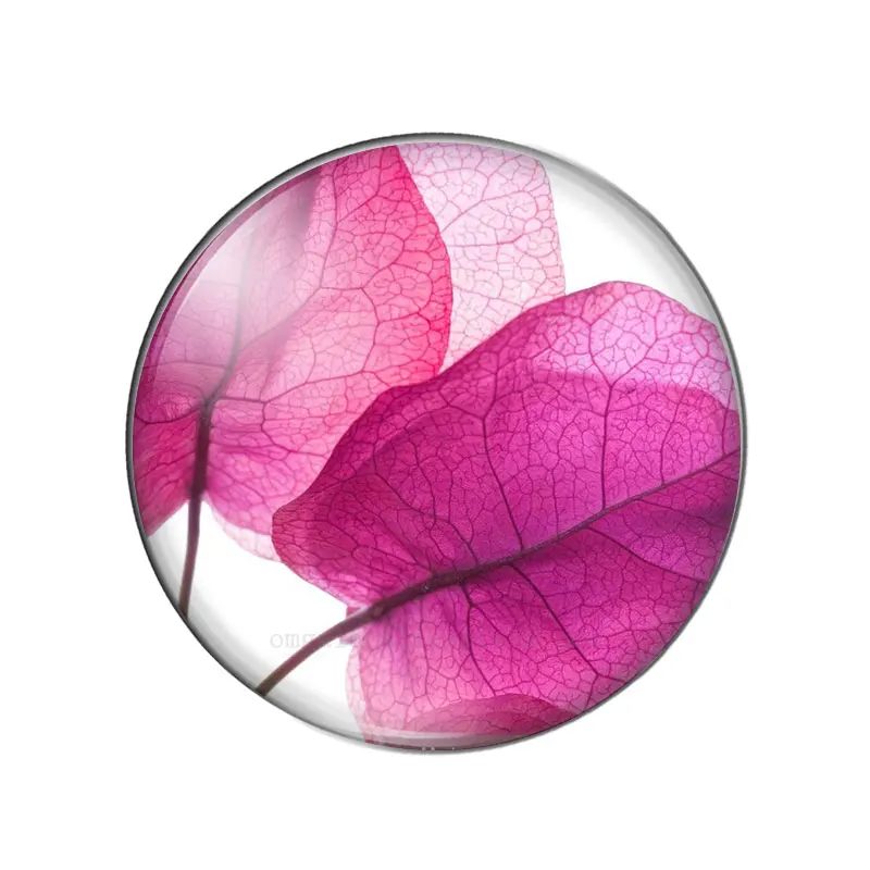 Colorful Transparent Leaves 10pcs 12mm/18mm/20mm/25mm Round photo glass cabochon demo flat back Making findings