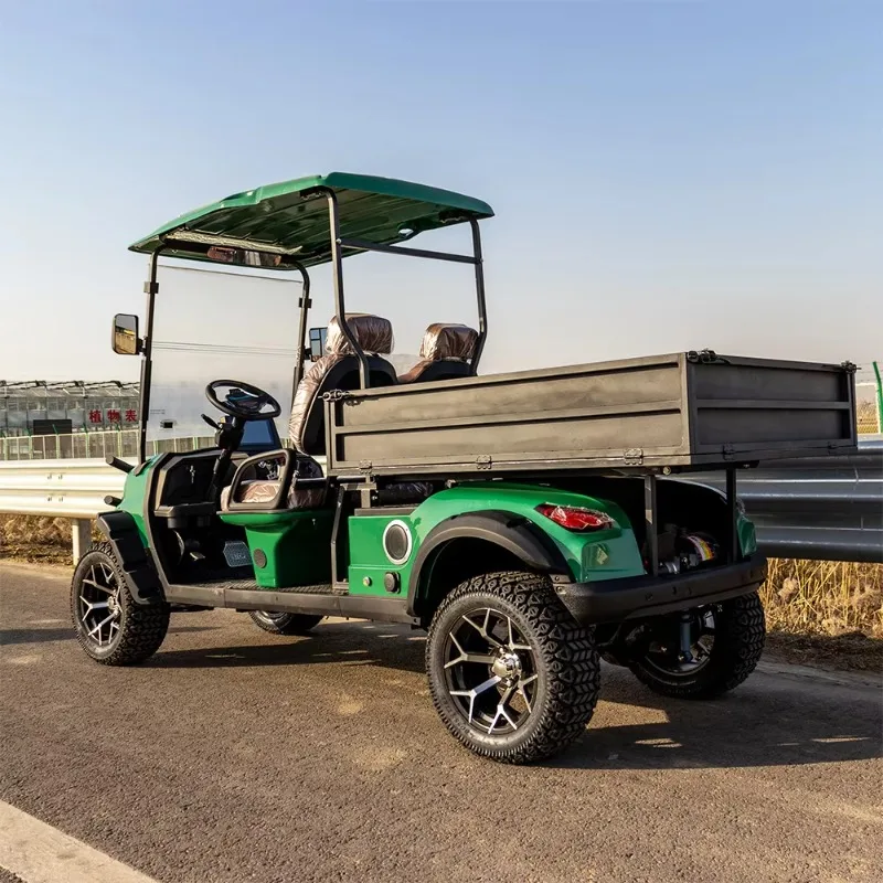 2-Seater Electric Steel Utility Golf Cart with Cargo  CE Certified for Work & Leisure 2026 New Model LXM