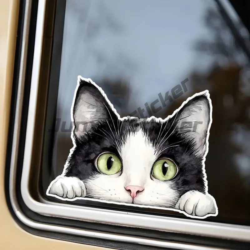 

Peeping Cat Car Stickers, Waterproof PVC Animal Decals for Laptops, Water Bottles, Cars, Helmets, Refrigerators